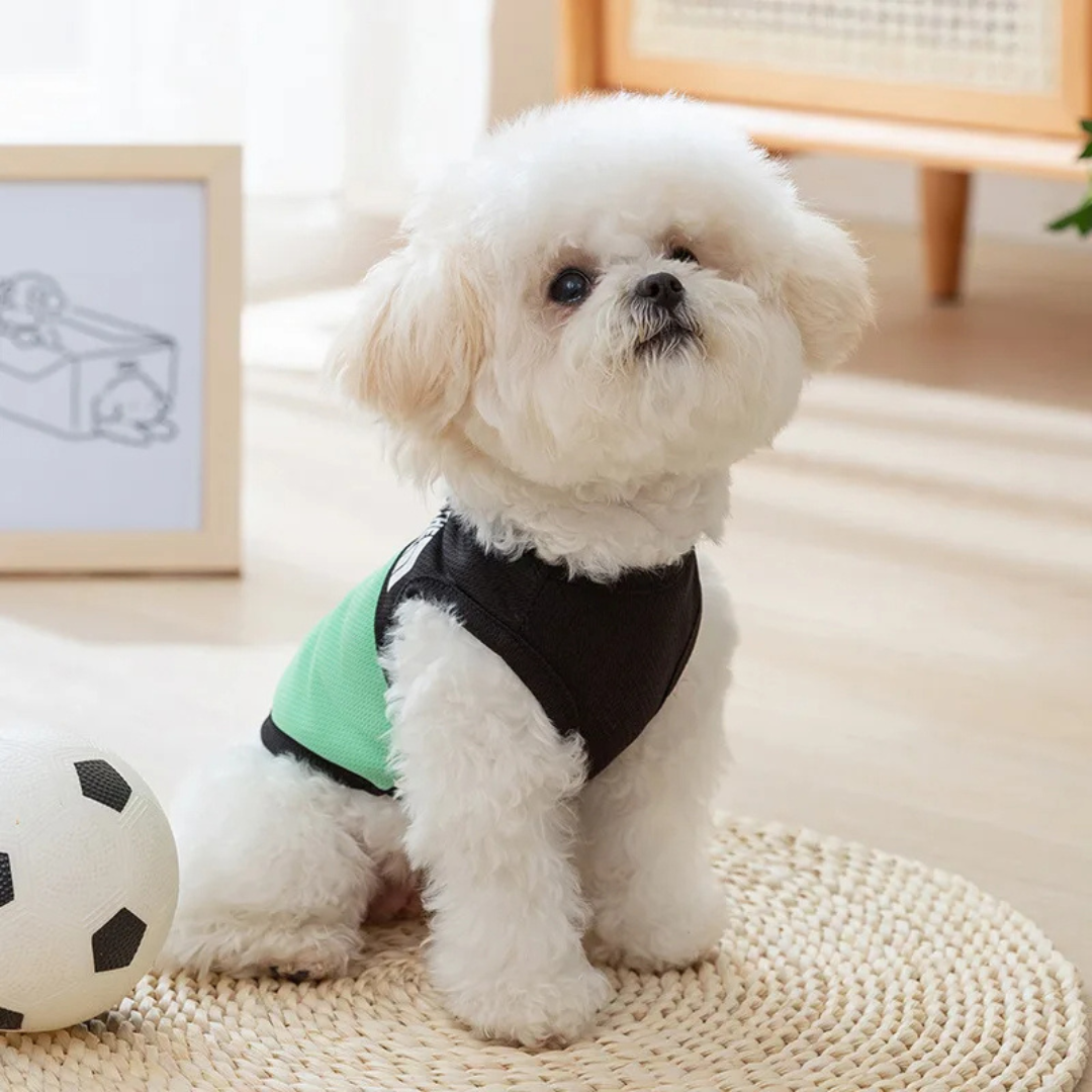 Casaco Colete Pet The Dog Face sem Mangas com Argola para Guia