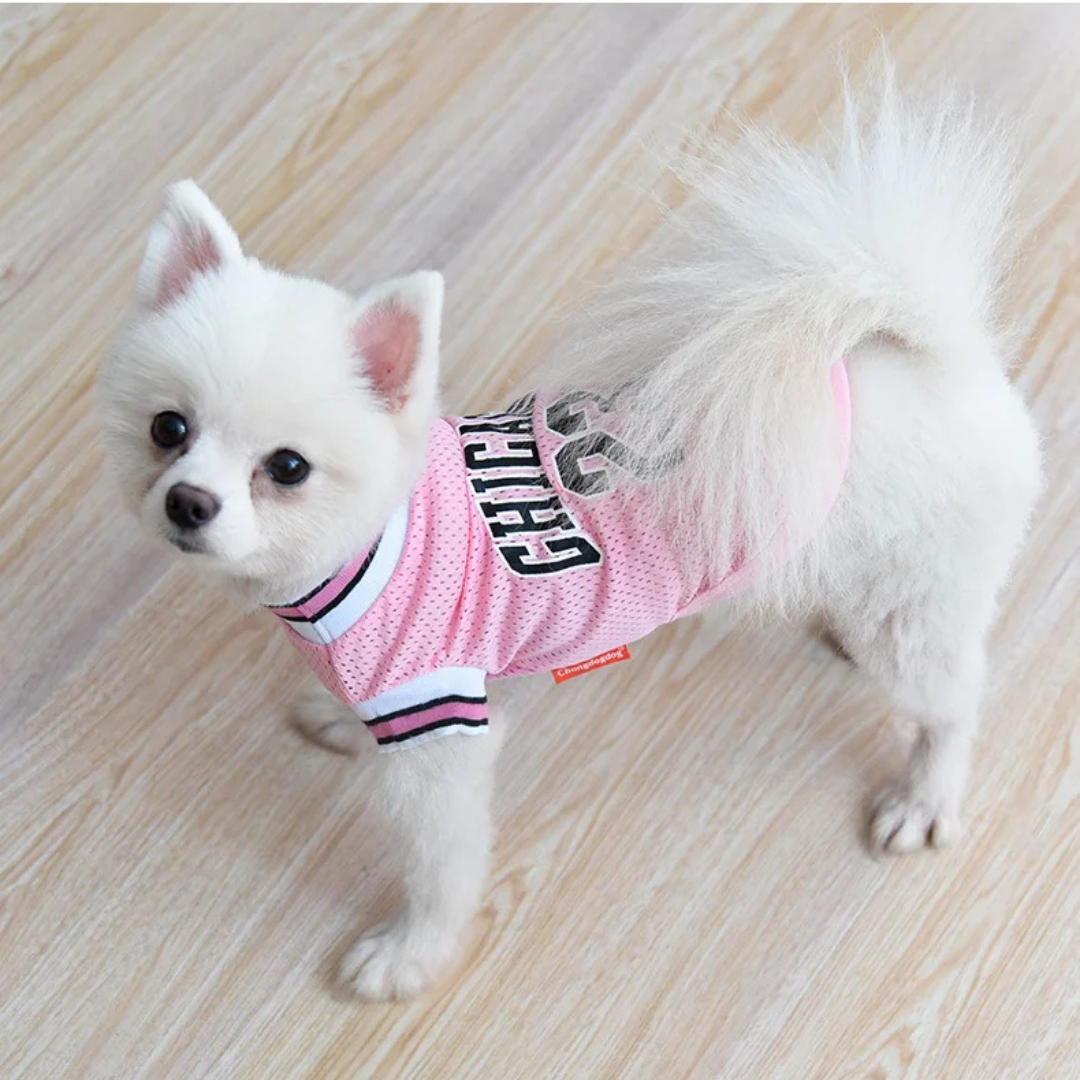 Roupinha Camiseta de Basquete para Cães e Gatos