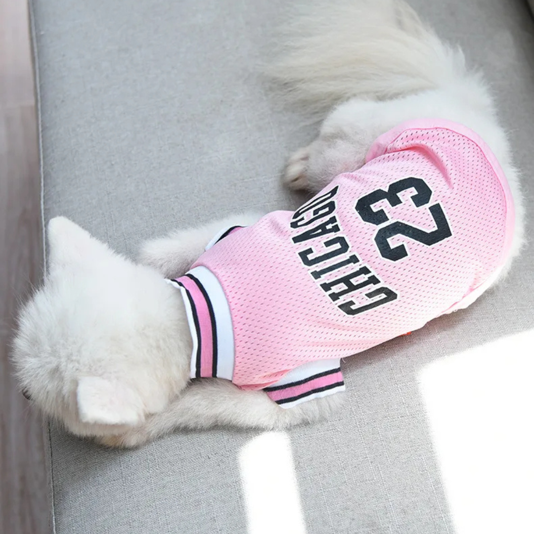 Roupinha Camiseta de Basquete para Cães e Gatos