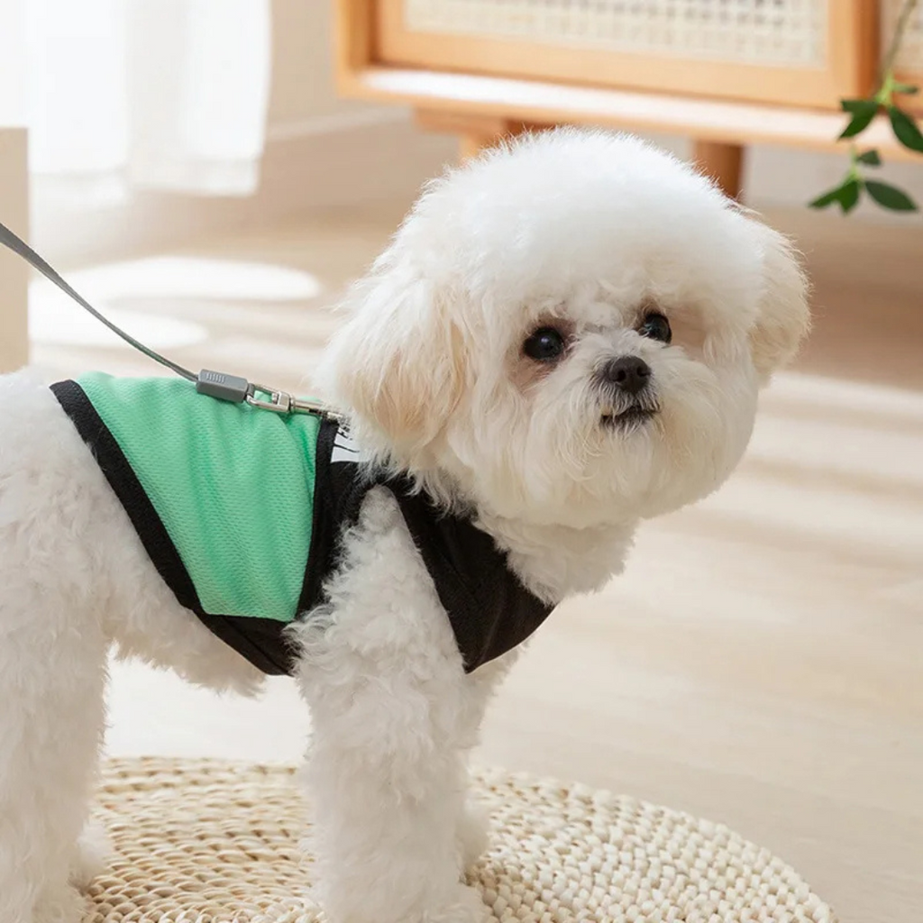 Casaco Colete Pet The Dog Face sem Mangas com Argola para Guia