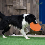 Disco Frisbee Voador Pet de Silicone para Cachorros