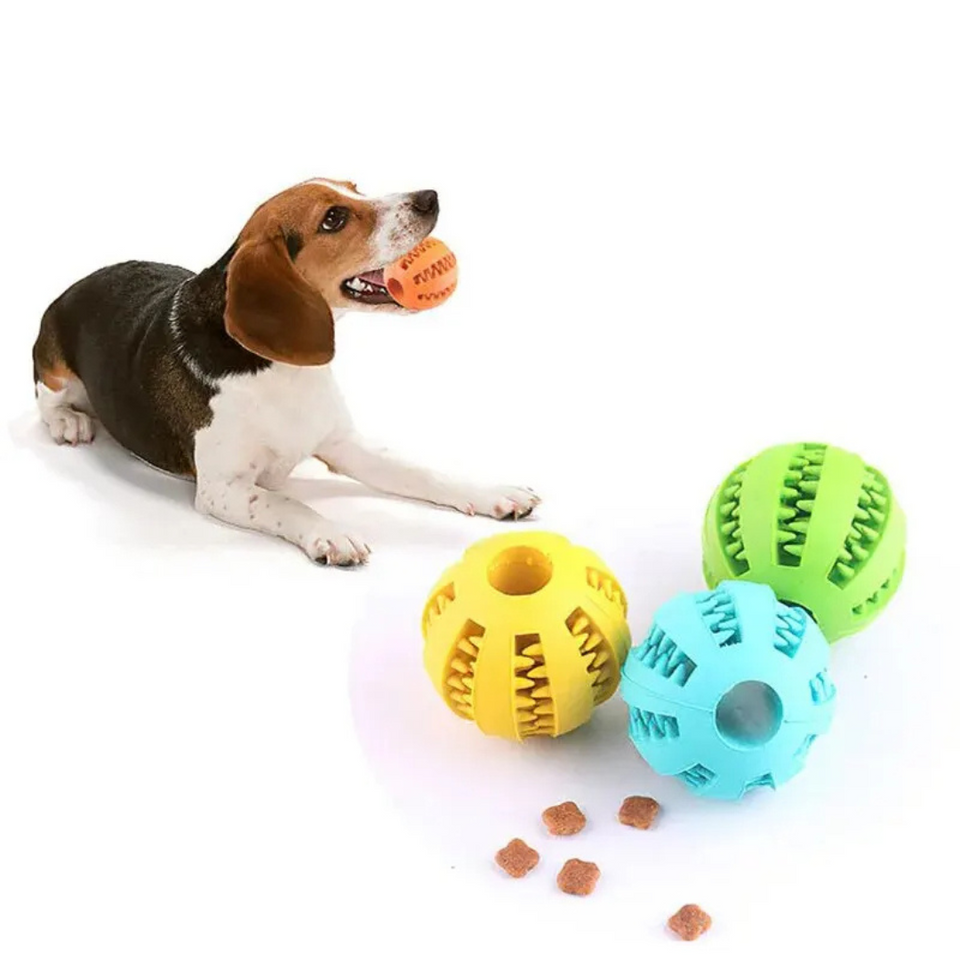 Bolinha Pet Dog Toy Ball Petisqueira - imagem 1
