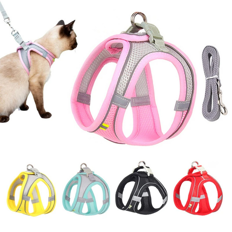 Coleira Peitoral com Guia à Prova de Fugas para Gatos - imagem 1