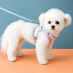 Peitoral Para Cães E Gatos Pequenos Com Guia Anti-Escape