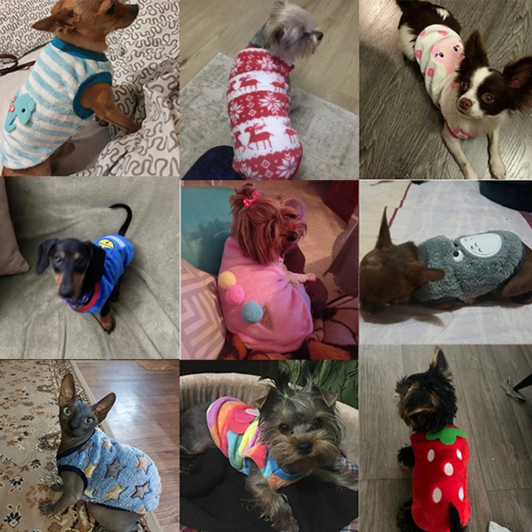 Roupinha Pet de Lã Soft Fofinha de Inverno Para Cachorros Pequeno Porte