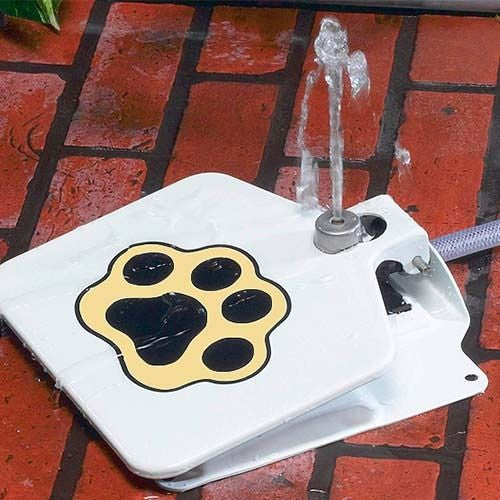 Bebedouro Brinquedo Interativo para Cães de Metal – Água Fresca ao Acionar a Pata
