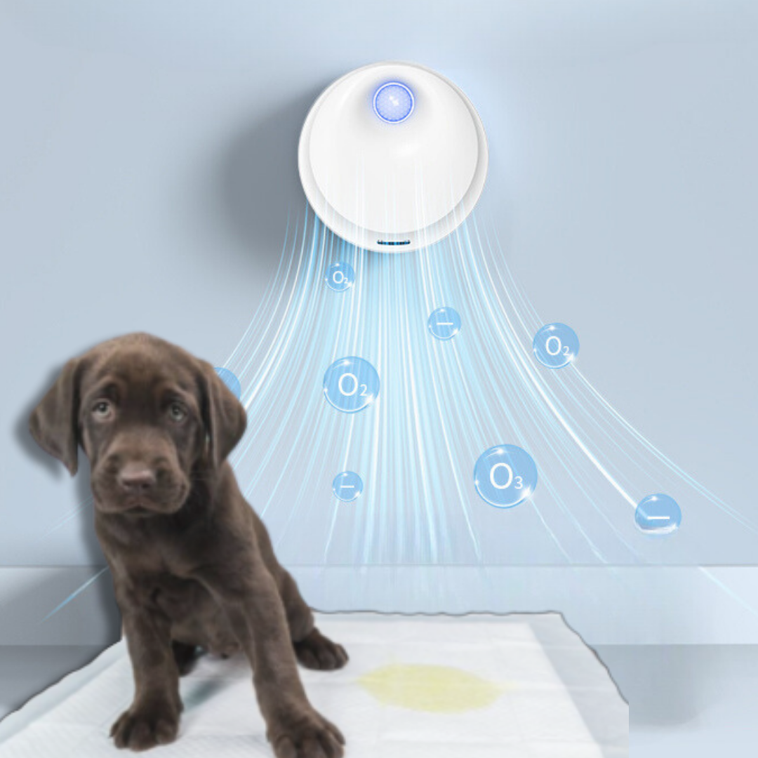 SmartOdor™ – O Purificador de Ar Inteligente Tira Cheiro e Neutraliza Odores