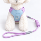 Peitoral Ajustável Respirável e Reflexivo para Cães – Conforto e Segurança para Passeios