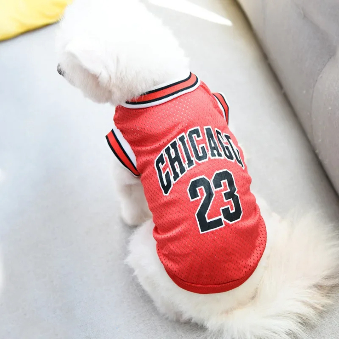 Roupinha Camiseta de Basquete para Cães e Gatos