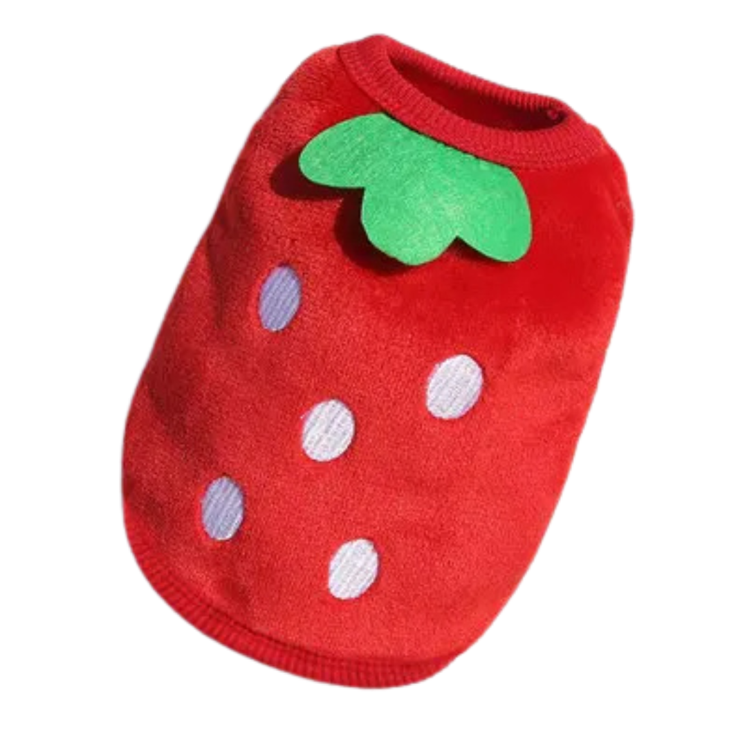 Roupinha Pet de Lã Soft Fofinha de Inverno Para Cachorros Pequeno Porte