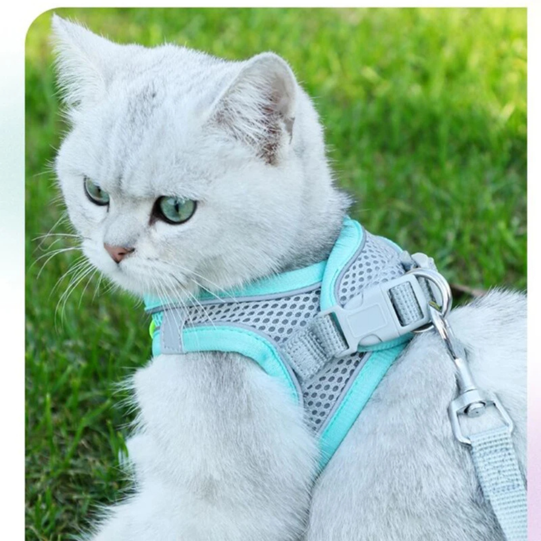 Coleira Peitoral com Guia à Prova de Fugas para Gatos