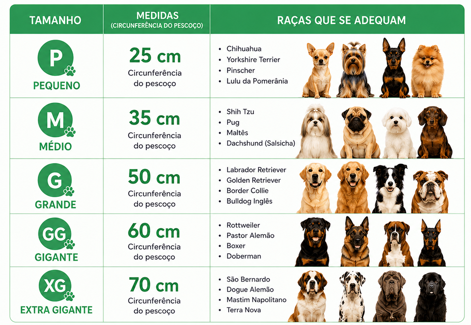 Bandana Premium Brasil Copa do Mundo - TorcidaPet™ Ajustável para Cães e Gatos