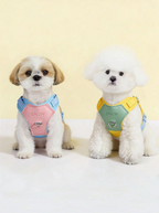 Peitoral Ajustável Respirável e Reflexivo para Cães – Conforto e Segurança para Passeios
