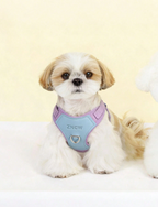 Peitoral Ajustável Respirável e Reflexivo para Cães – Conforto e Segurança para Passeios