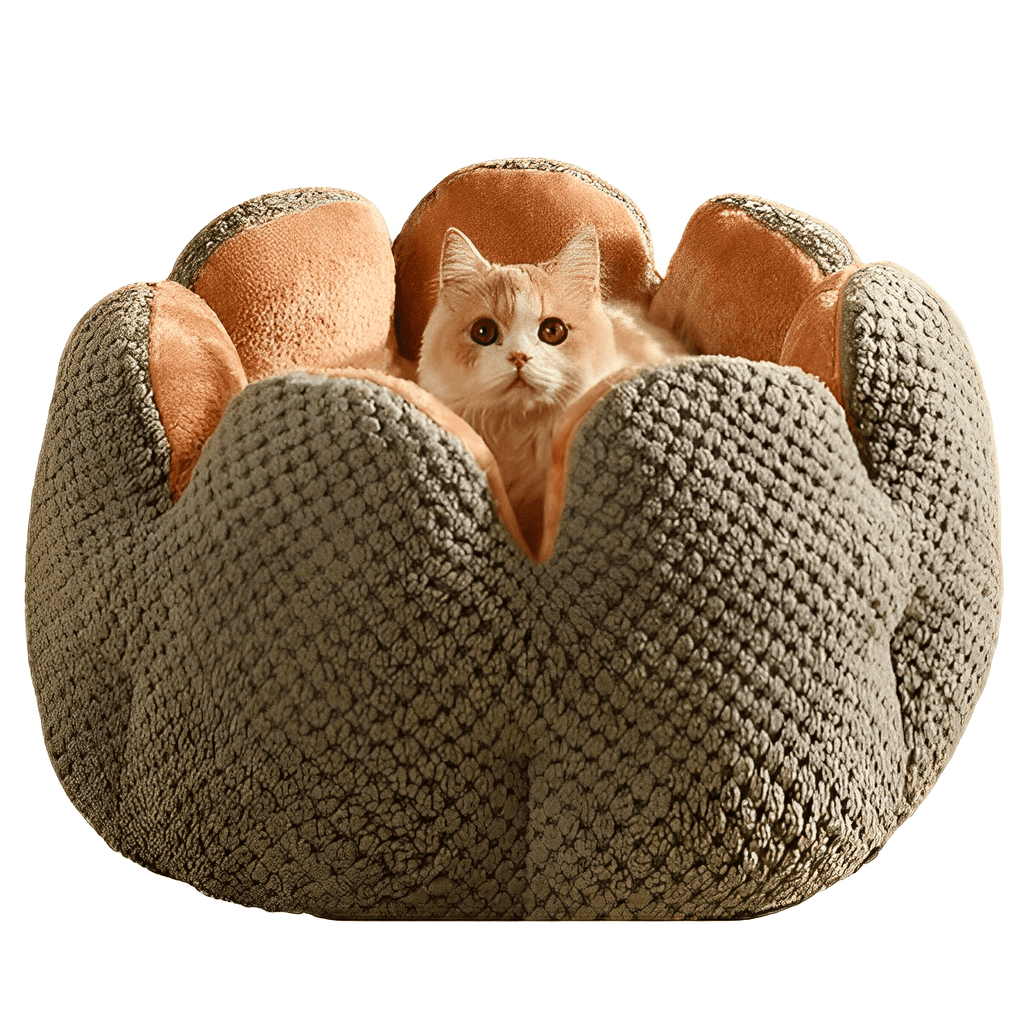 Cama Puff Pet Florzinha™  - Ultra Macia Para Gatos + BRINDE:  Bolinha Interativa Inteligente