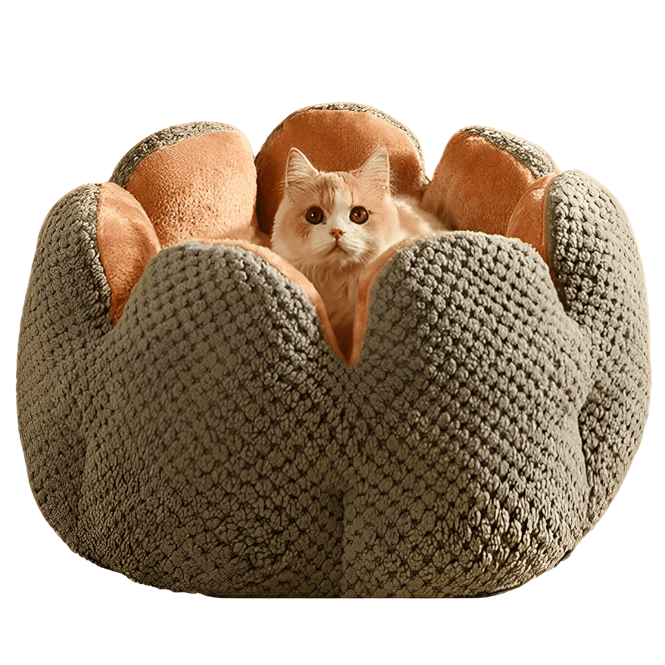 Cama Puff Pet Florzinha - Ultra Macia Para Gatos - imagem 1