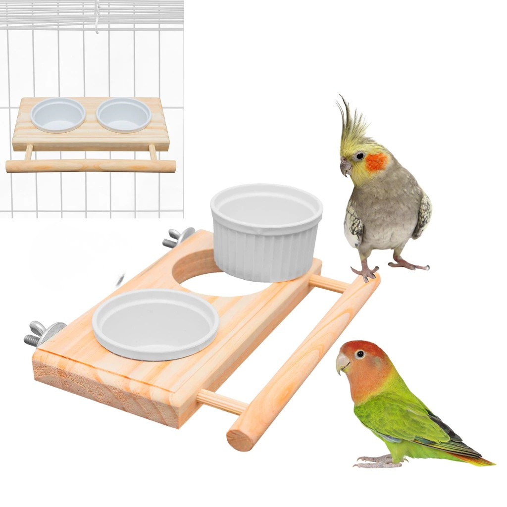 Comedouro Suspenso de Luxo Inovador para Aves Calopsita, Periquito e Outros Pássaros