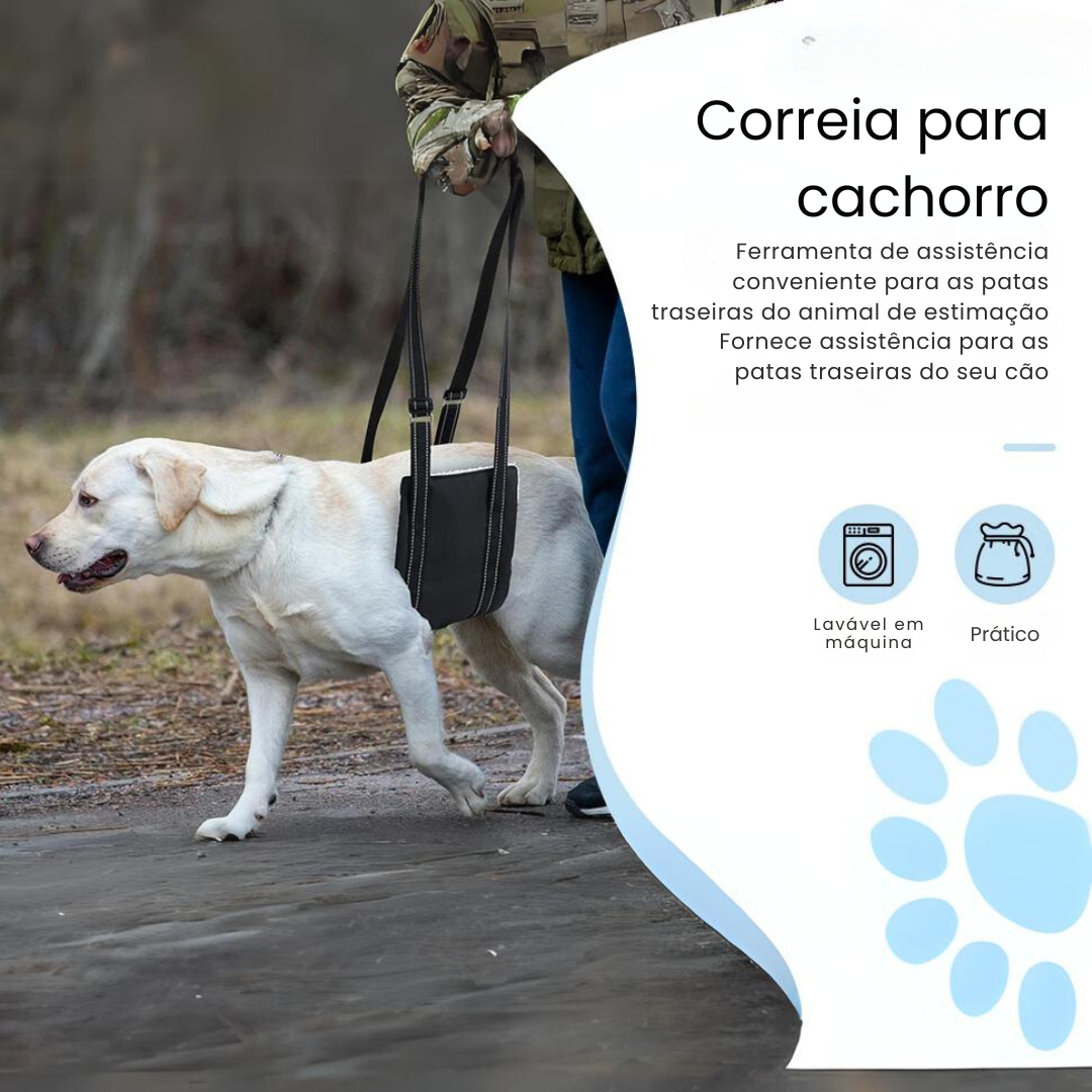 Suporte Sling Apoio para Cachorros com Dificuldade de Caminhar Lesão - Arnês