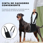 Suporte Sling Apoio para Cachorros com Dificuldade de Caminhar Lesão - Arnês