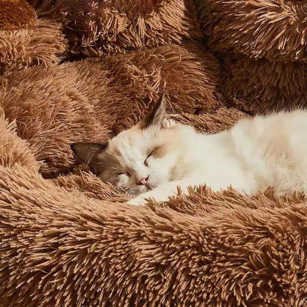 Cama Anti Ansiedade em Formato de Pata para Cachorro e Gato - Pet Pawzy™