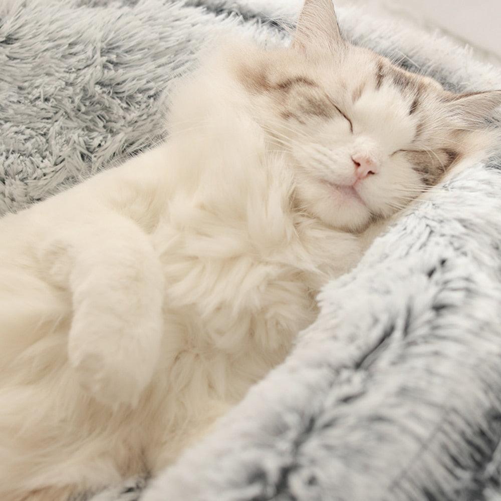 Cama Para Gatos Nuvem Luxury™ Antiansiedade + BRINDE: Bolinha Interativa Inteligente