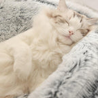 Cama Para Gatos Nuvem Luxury™ Antiansiedade + BRINDE: Bolinha Interativa Inteligente