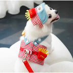 Kit Peitoral com Guia e Chapéu para Passeios para Cães e Gatos