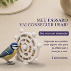 Brinquedo Disco Interativo Giratório para Aves Calopsitas Periquitos Agapornis