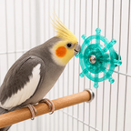 Brinquedo Disco Interativo Giratório para Aves Calopsitas Periquitos Agapornis