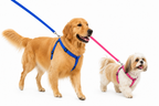 Guia Longa para Peitoral de Cães 1.5m – FreedomWalk™