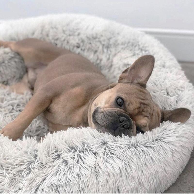 Caminha de Pelúcia para Cachorro e Gato RelaxPet Barkify™
