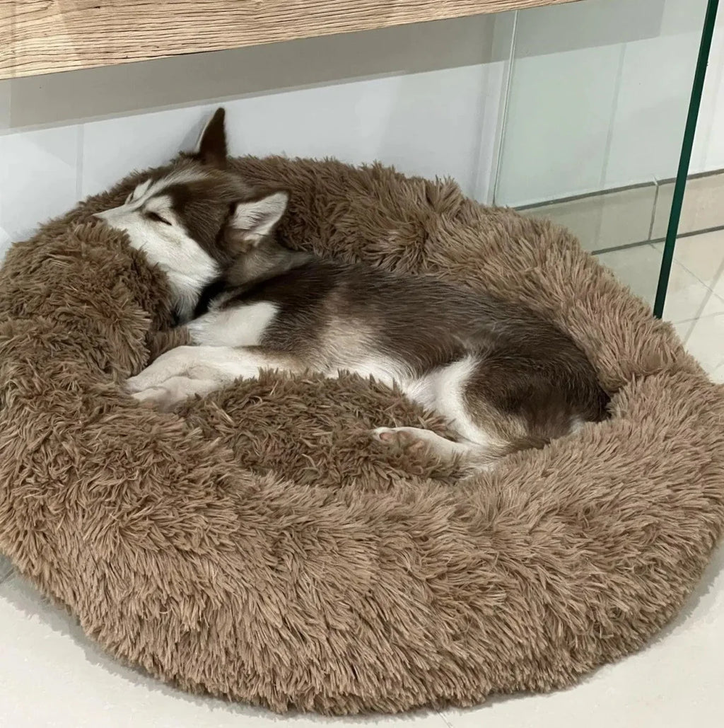 Caminha de Pelúcia para Cachorro e Gato RelaxPet Barkify™