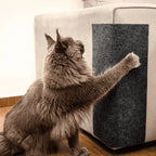 Carpete Protetor Multiuso para Gatos para móveis, portas e paredes - FurBlock™