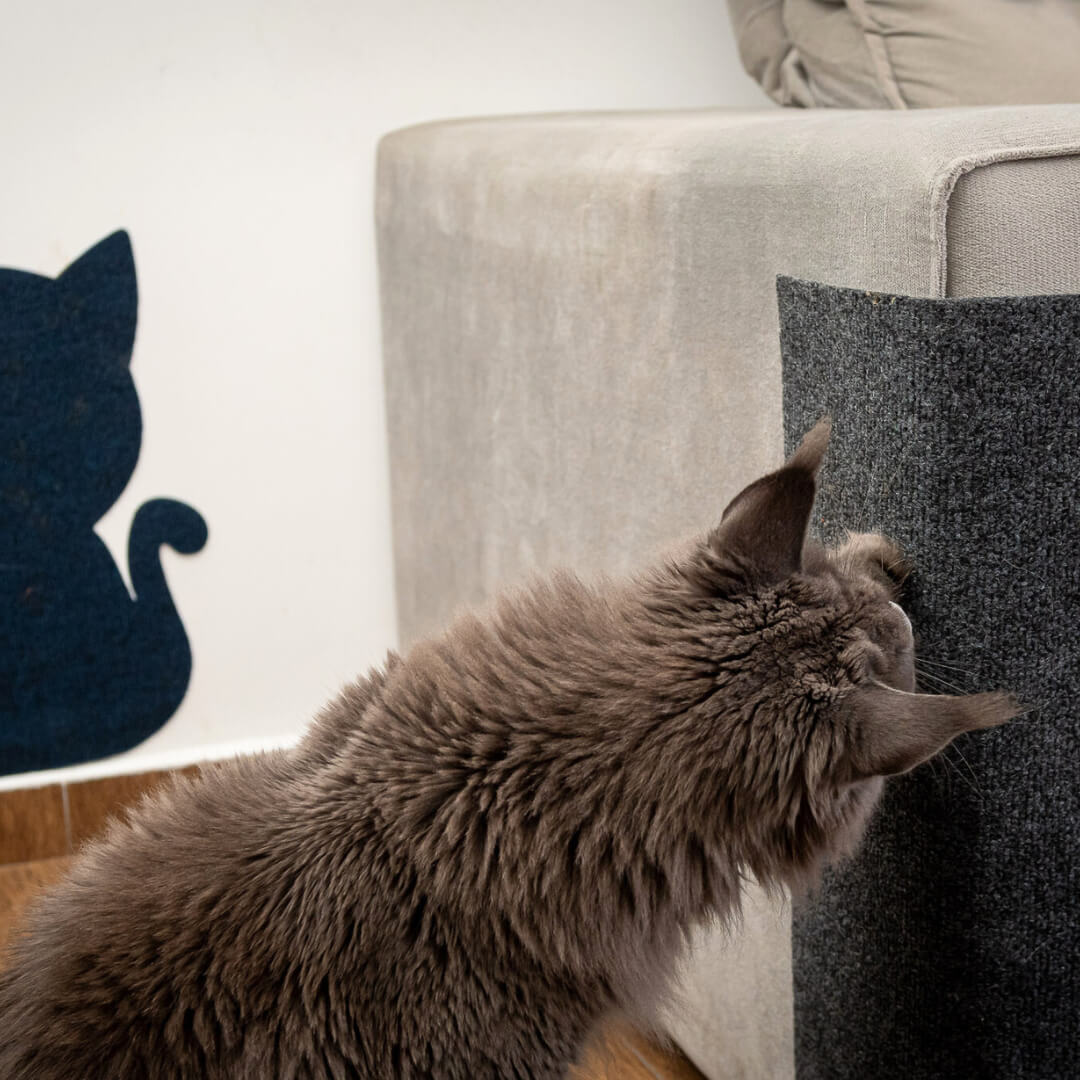 Carpete Protetor Multiuso para Gatos para móveis, portas e paredes - FurBlock™