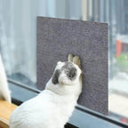 Carpete Protetor Multiuso para Gatos para móveis, portas e paredes - FurBlock™