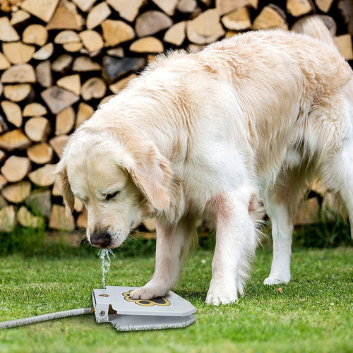 Bebedouro Brinquedo Interativo para Cães de Metal – Água Fresca ao Acionar a Pata