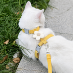 Peitoral Ajustável com Guia Floral para Cães e Gatos Pequenos
