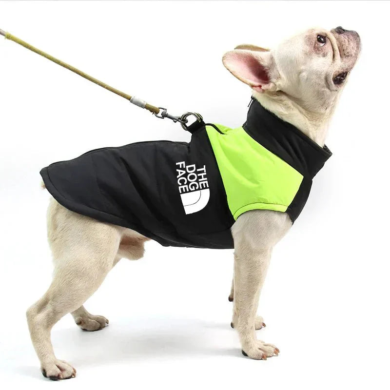 Jaqueta Impermeável Acolchoada com Zíper - TheDogFace™ para Cães