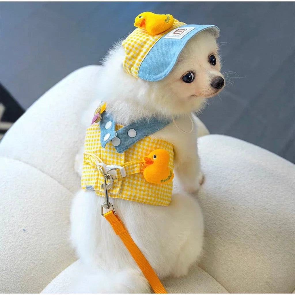 Kit Peitoral com Guia e Chapéu para Passeios para Cães e Gatos