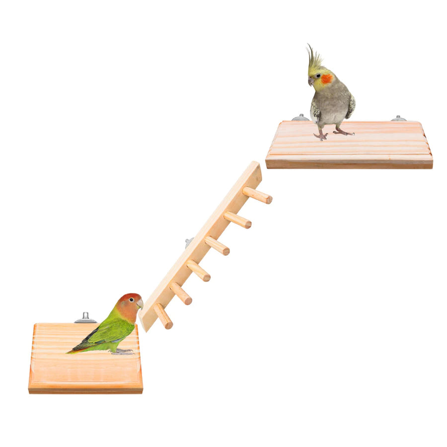 Kit de Brinquedos para Pássaros – Escadas, Balanços, Poleiros e Plataformas
